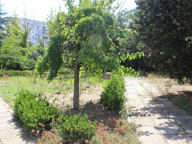 фото Севастополь (Sevastopol) изображение №14