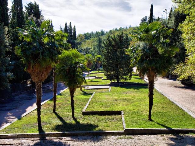 фотографии Левант (Levant) изображение №60