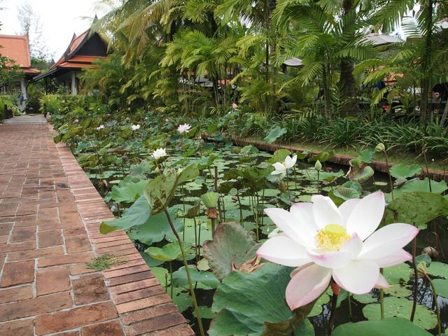 фотографии отеля Khaolak Bhandari Resort & Spa изображение №35