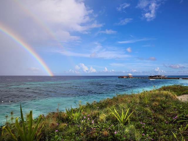 фотографии Wakatobi Dive Resort изображение №28