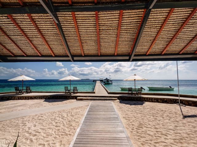 фотографии отеля Wakatobi Dive Resort изображение №11