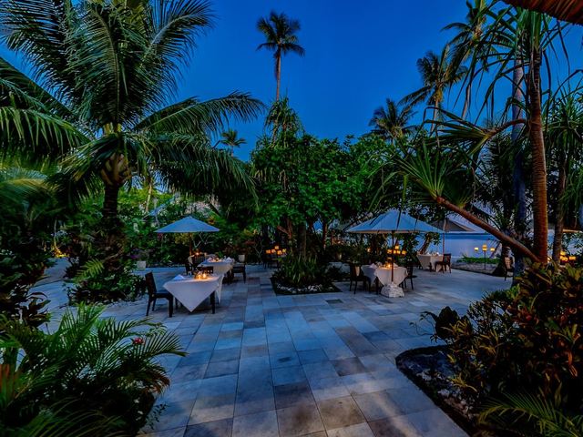 фотографии Wakatobi Dive Resort изображение №8