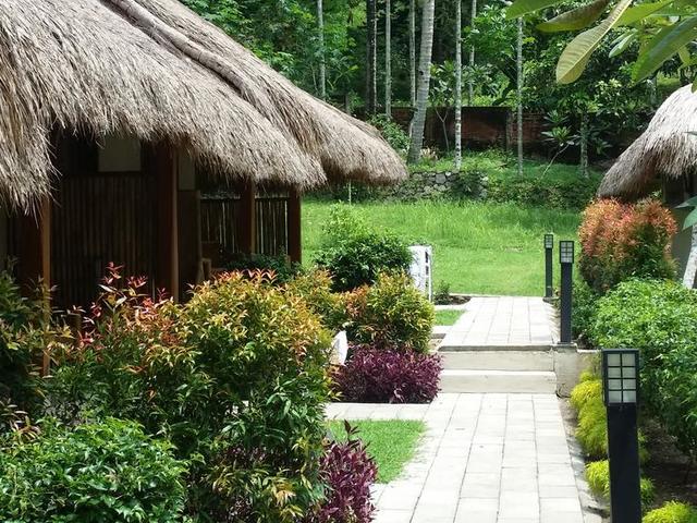 фотографии Mama Bella's Retreat изображение №8