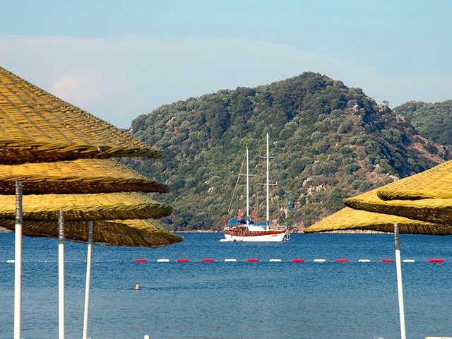 фотографии Marti La Perla изображение №68