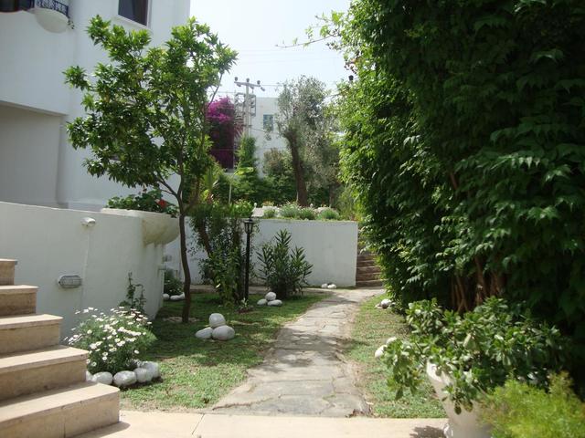 фотографии отеля Eden Hotel Bodrum изображение №15