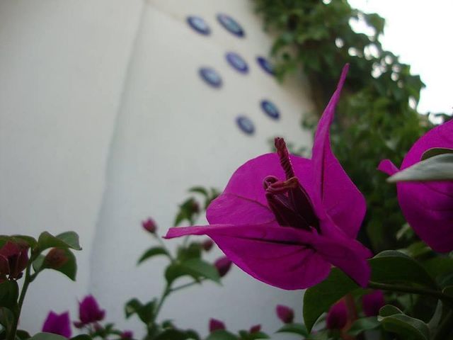 фотографии Eden Hotel Bodrum изображение №12