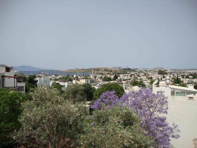фотографии отеля Eden Hotel Bodrum изображение №11