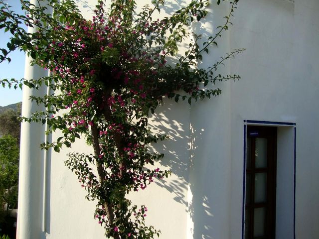 фото отеля Eden Hotel Bodrum изображение №9