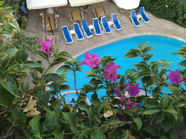 фотографии отеля Orkide изображение №15