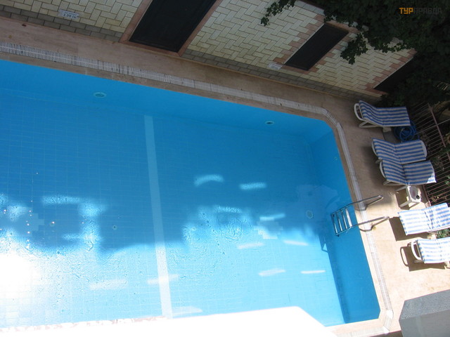 фото Blue Dream изображение №18