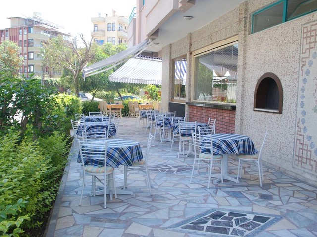 фотографии Blue Dream изображение №4