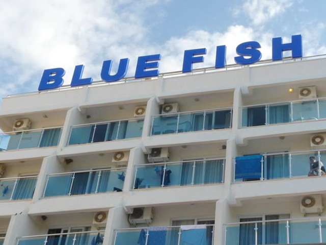 фотографии Blue Fish изображение №20