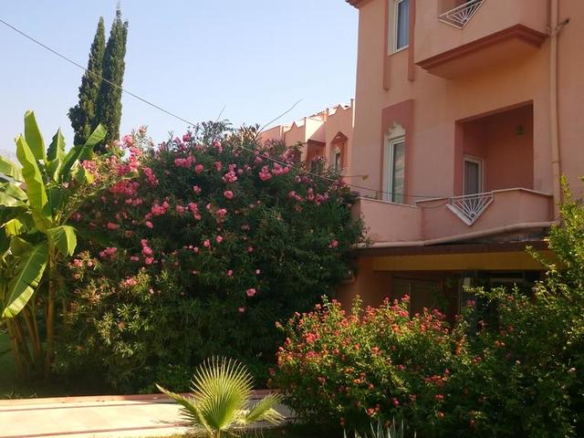 фотографии отеля Alexius Beach (ex. Club Hotel Beldiana) изображение №15