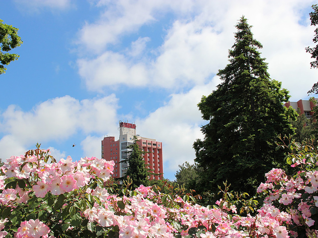 фотографии Санаторий Голубая даль (Golubaya dal) изображение №20