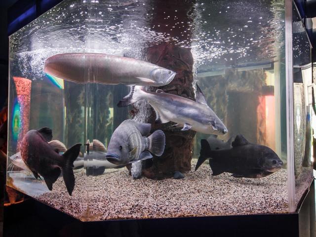 фотографии отеля Троя (Troya) изображение №11