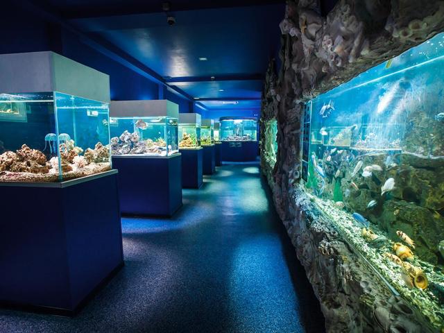 фотографии Троя (Troya) изображение №4