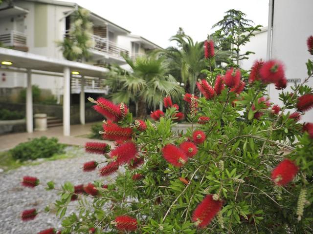 фотографии Hunguest Hotel Sun Resort изображение №8