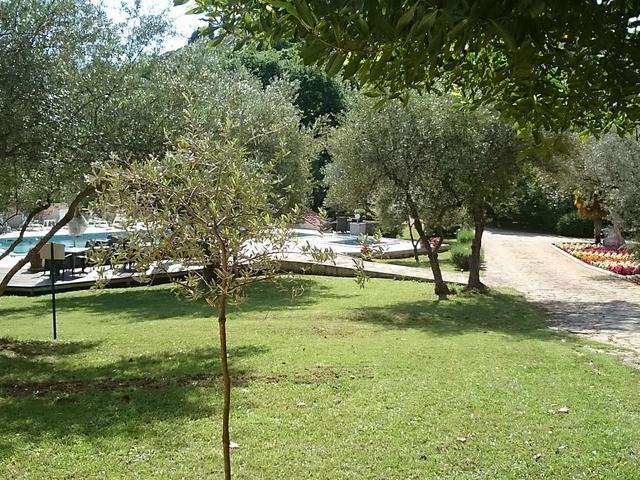 фото Carmen изображение №2