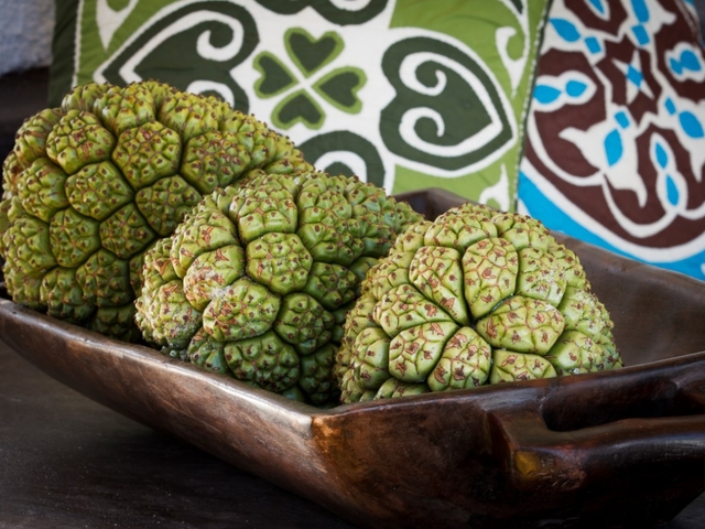 фотографии Uzuri Villa изображение №40