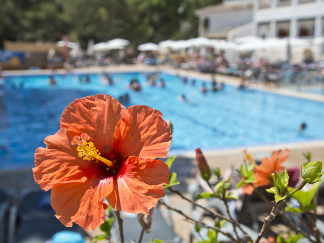 фотографии Beach Club Font de Sa Cala изображение №24