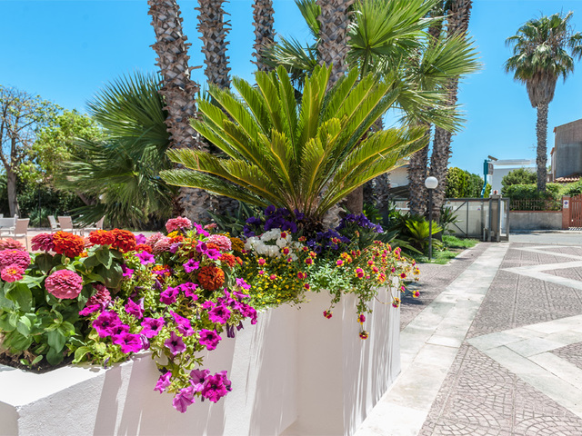 фотографии Acacia Marina Palace (ex. Terraqua) изображение №20