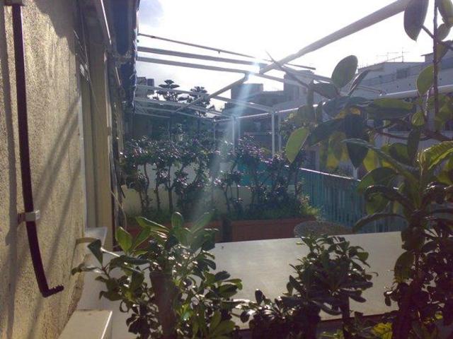 фото Gardenia Hotel изображение №6