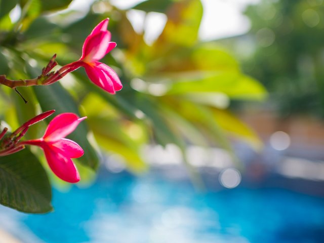 фотографии отеля P.K. Resort & Villas Jomtien Beach изображение №23