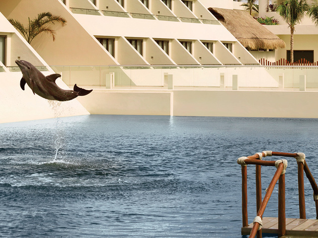 фотографии отеля Hyatt Ziva Cancun (ex. Dreams Cancun; Camino Real Cancun) изображение №55