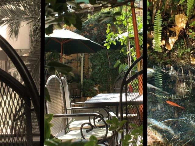 фото отеля Villa delle Rose изображение №25