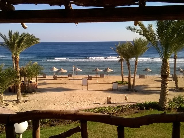 фотографии Pickalbatros Vita Resort - Portofino Marsa Alam (ex. Kahramana Beach Resort ) изображение №4