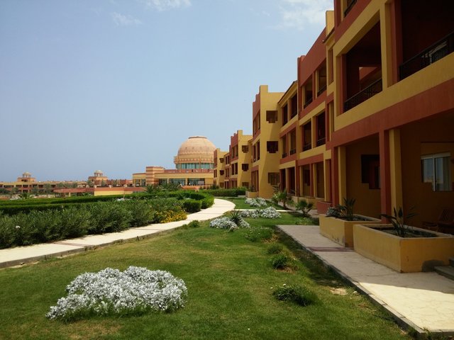 фото Malikia Resort Abu Dabbab (ex. Sol Y Mar Abu Dabbab) изображение №66