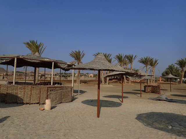 фотографии отеля Malikia Resort Abu Dabbab (ex. Sol Y Mar Abu Dabbab) изображение №51