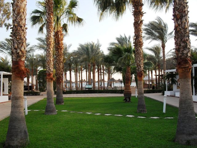 фото отеля Seti Sharm (ex. Dessole Seti Sharm Resort) изображение №17