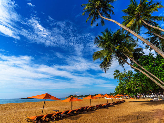 фотографии Calamander Unawatuna Beach (ex. Unawatuna Beach) изображение №20