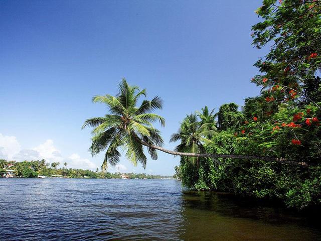 фотографии отеля Centara Ceysands Resort & Spa Sri Lanka (ex. Ceysands) изображение №51