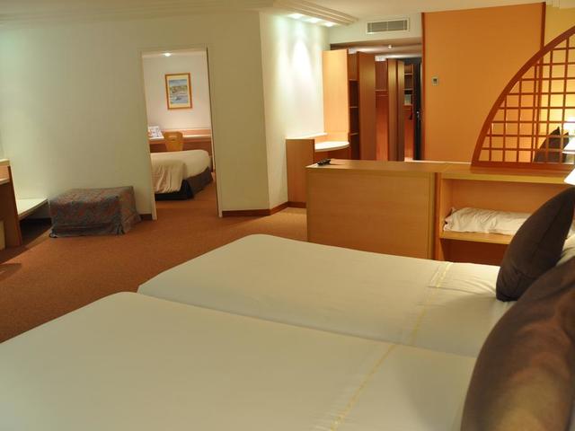 фото Hotel Tropical (ех. Ibis Andorra) изображение №6