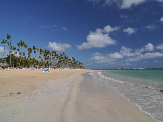фото Grand Sirenis Punta Cana Resort Casino & Aquagames (ex. Sirenis Tropical/Cocota) изображение №14