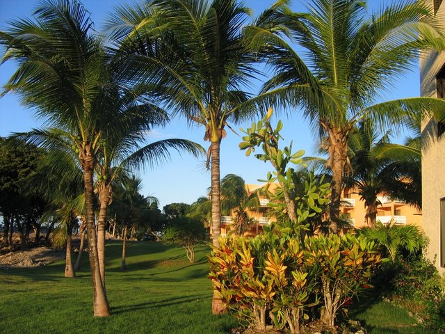 фотографии Caliente Caribe Resort & Spa (ех. Eden Bay Nudist) изображение №12