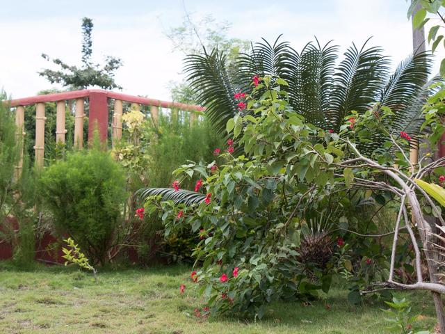 фотографии отеля Moonlight Resort изображение №19