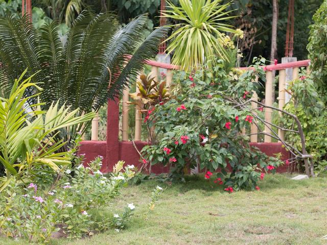 фотографии отеля Moonlight Resort изображение №15