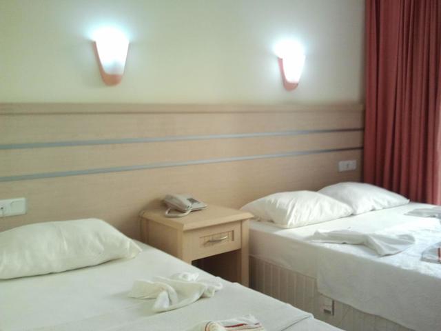 фотографии Summer Rose  изображение №48