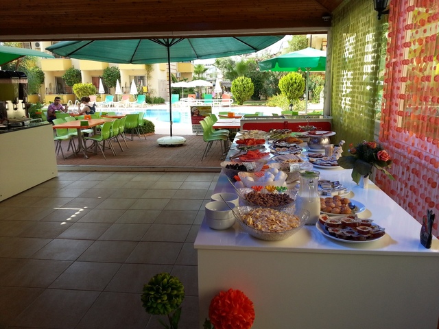 фотографии Summer Rose  изображение №36