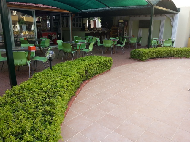 фотографии Summer Rose  изображение №20