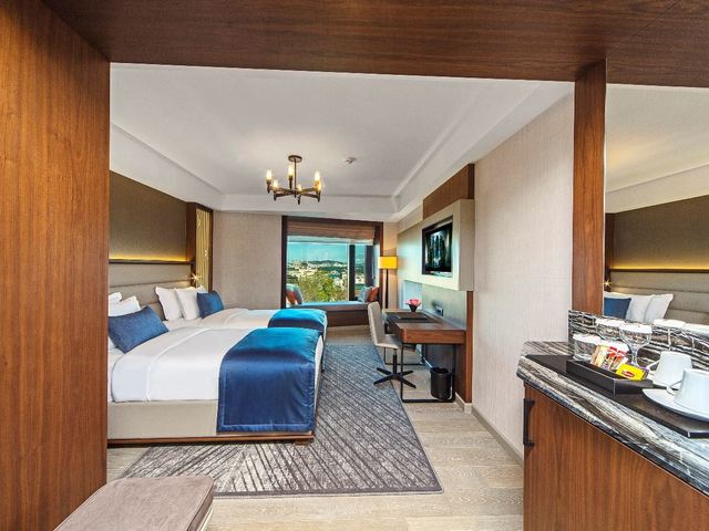 фото Arts Hotel Istanbul (ex. Arts Hotel Istanbul Bosphorus) изображение №50