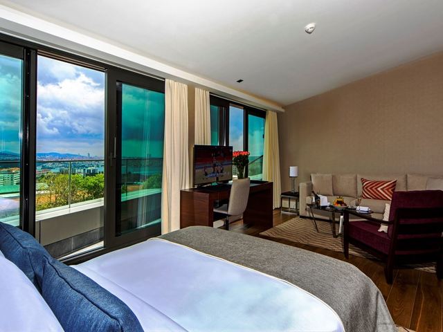 фотографии Arts Hotel Istanbul (ex. Arts Hotel Istanbul Bosphorus) изображение №44