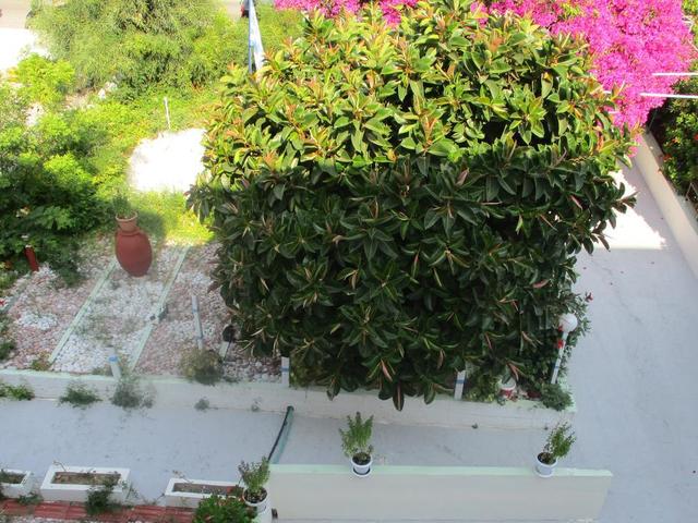 фотографии Tassos Apartments изображение №8