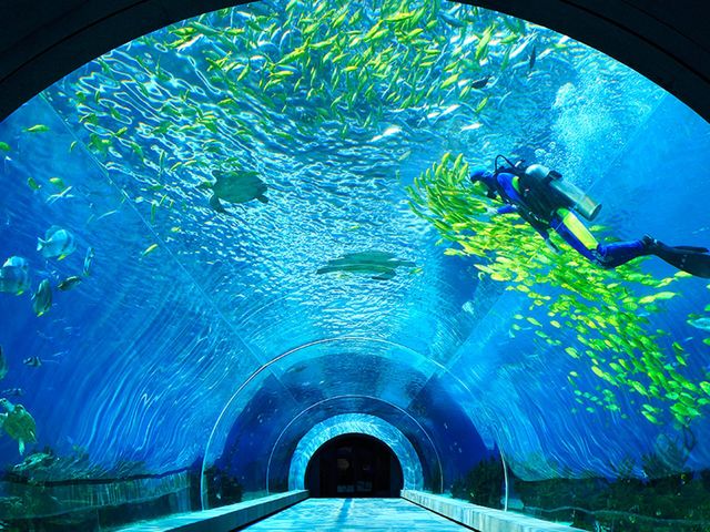 фотографии отеля InterContinental Sanya Haitang Bay Resort  изображение №43