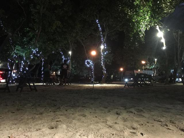 фотографии Moonlight Resort изображение №32