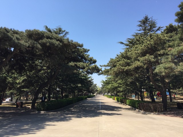 фото Friendship (Youyi, Дружба) изображение №30