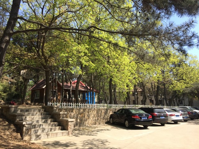 фотографии отеля Friendship (Youyi, Дружба) изображение №11